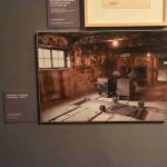 DSC_0079_00070 (June 24, 2023)